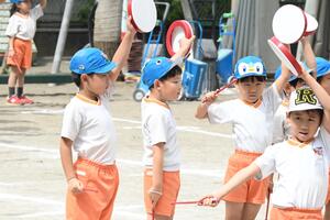 img_20240924-133425.jpg