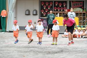 img_20240925-152339.jpg