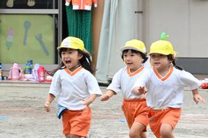 img_20240925-152440.jpg