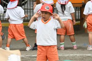 img_20240925-152853.jpg
