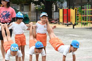 img_20240925-153038.jpg