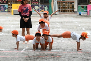 img_20240925-153154.jpg