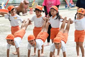 img_20240925-153327.jpg