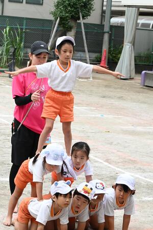 img_20240925-153500.jpg