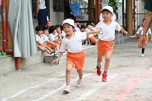 img_20240925-153710.jpg