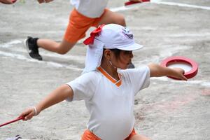 img_20240925-154044.jpg