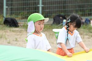 img_20240926-144941.jpg