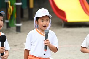 img_20240930-132959.jpg