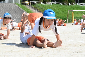 img_20241002-144353.jpg