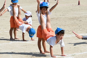 img_20241002-144408.jpg