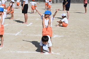 img_20241002-144423.jpg