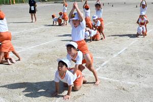 img_20241002-144440.jpg