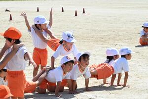 img_20241002-145143.jpg