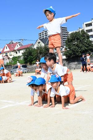 img_20241002-145208.jpg