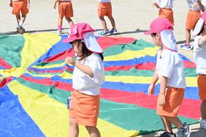 img_20241002-145311.jpg