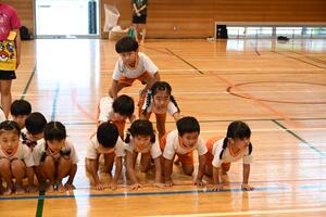 img_20241005-132454.jpg