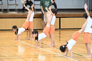 img_20241005-132604.jpg