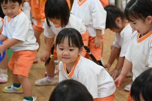 img_20241009-154642.jpg