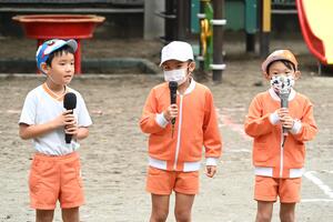img_20241010-134050.jpg