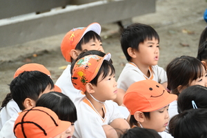 img_20241010-134310.jpg