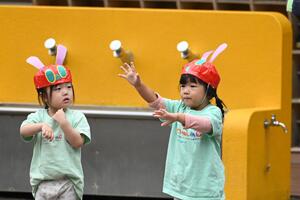 img_20241010-134634.jpg