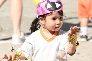 img_20241011-134256.jpg
