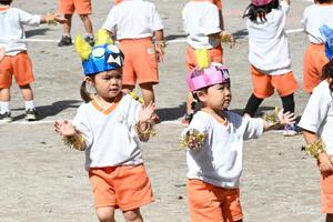 img_20241011-134316.jpg