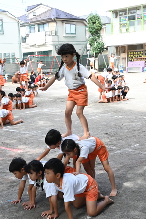 img_20241011-134528.jpg