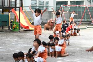 img_20241011-134537.jpg
