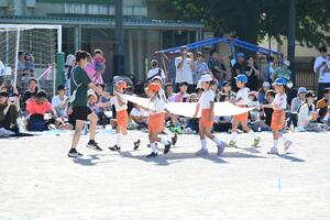 img_20241012-152655.jpg