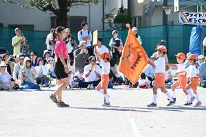 img_20241012-152702.jpg