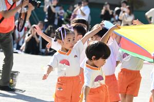 img_20241012-152749.jpg