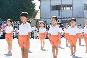 img_20241012-152845.jpg