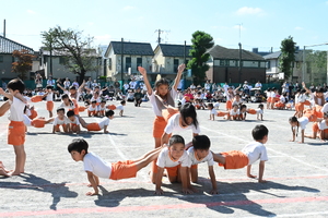 img_20241012-152927.jpg