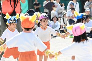 img_20241012-153051.jpg