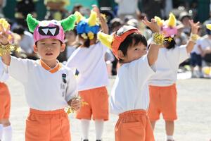 img_20241012-153101.jpg