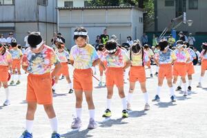 img_20241012-153353.jpg