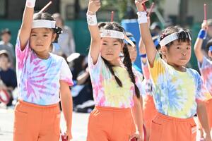 img_20241012-153710.jpg