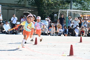 img_20241012-153947.jpg