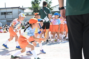 img_20241012-154040.jpg