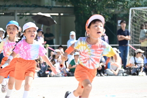 img_20241012-154052.jpg