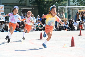 img_20241012-154107.jpg
