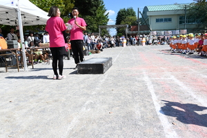 img_20241012-154245.jpg