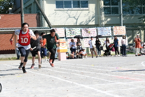 img_20241012-154337.jpg