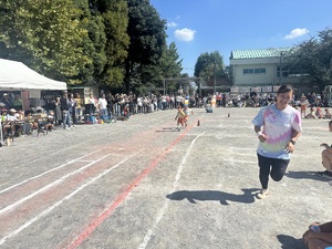 img_20241012-154908.jpg