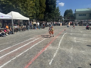 img_20241012-154942.jpg