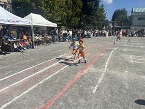 img_20241012-154950.jpg