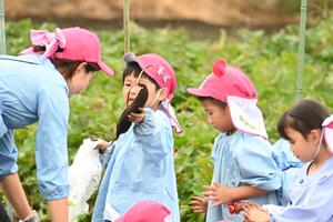 img_20241018-153455.jpg