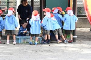 img_20241022-133459.jpg