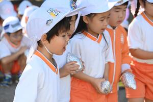 img_20241024-143353.jpg
